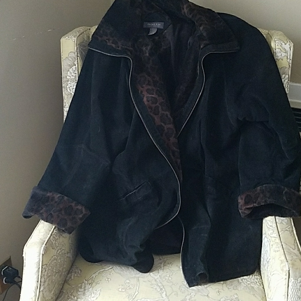 Coat lane bryant